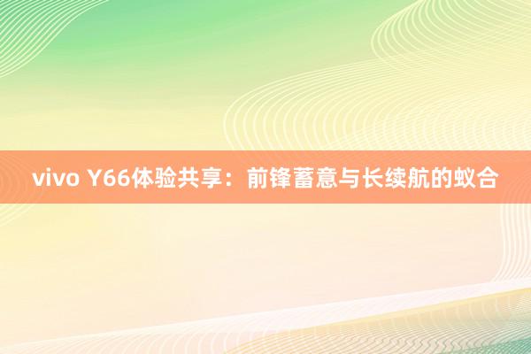 vivo Y66体验共享：前锋蓄意与长续航的蚁合